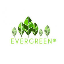 Logo Công ty Cổ phần Evergreen Đầu tư